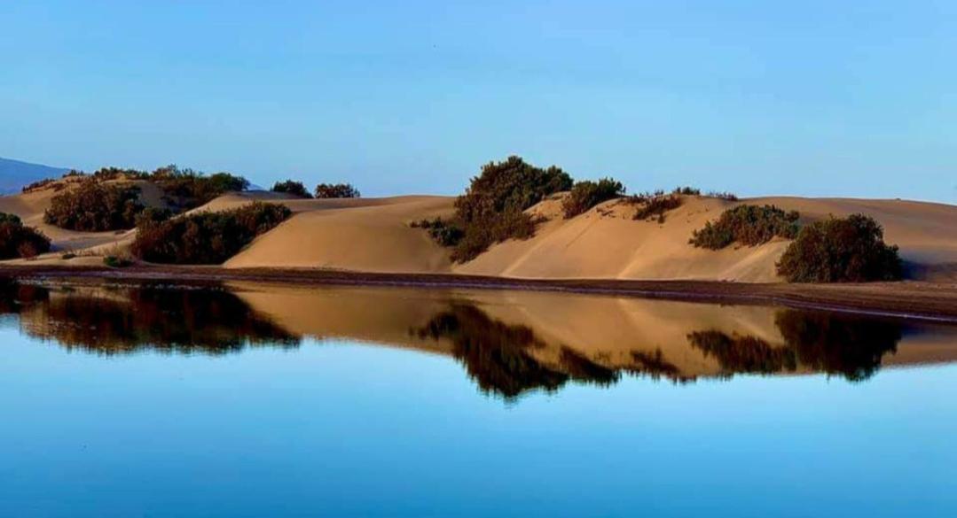 Barber Las Brisas Daire Playa del Ingles  Dış mekan fotoğraf